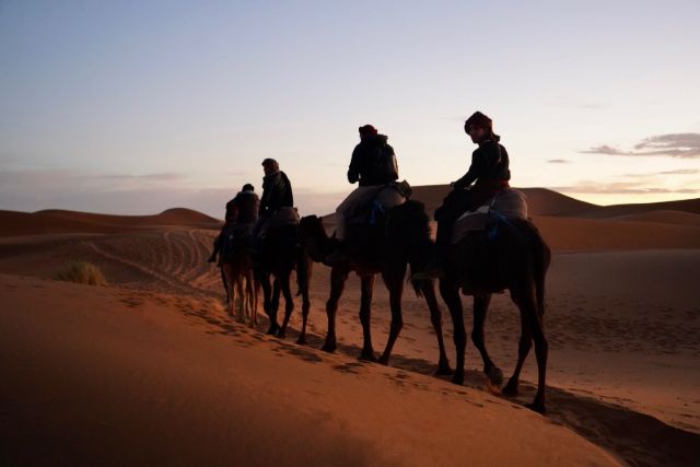 A diverse group of travelers crossing a sandy desert landscape in the golden light of a setting sun, riding on the backs of camels in Merzouga Desert Morocco