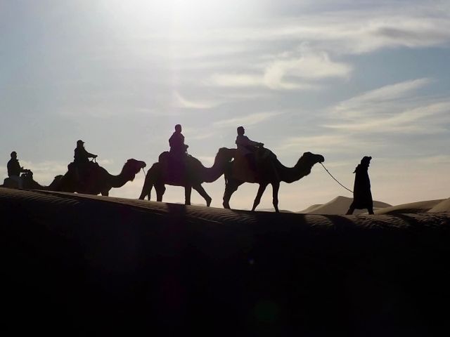 A camel caravan silhouetted against a warm golden and orange sunset sky while trekking across the sweeping sand dunes of the Sahara Desert near Mhamid el Ghizlane, Morocco.