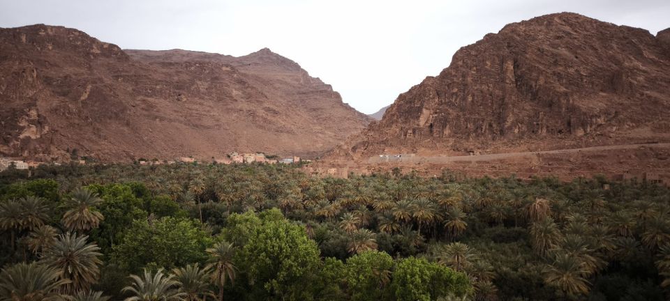 Green palm oasis of Todgha with the Todra Gorge mountains behind, southern Morocco