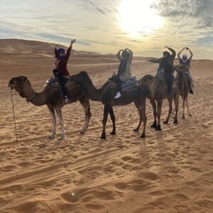 Private 7-Day Tour from Casablanca to Marrakech