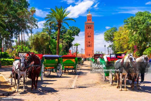 11 Days Private Tour of Morocco From Casablanca to Marrakesh