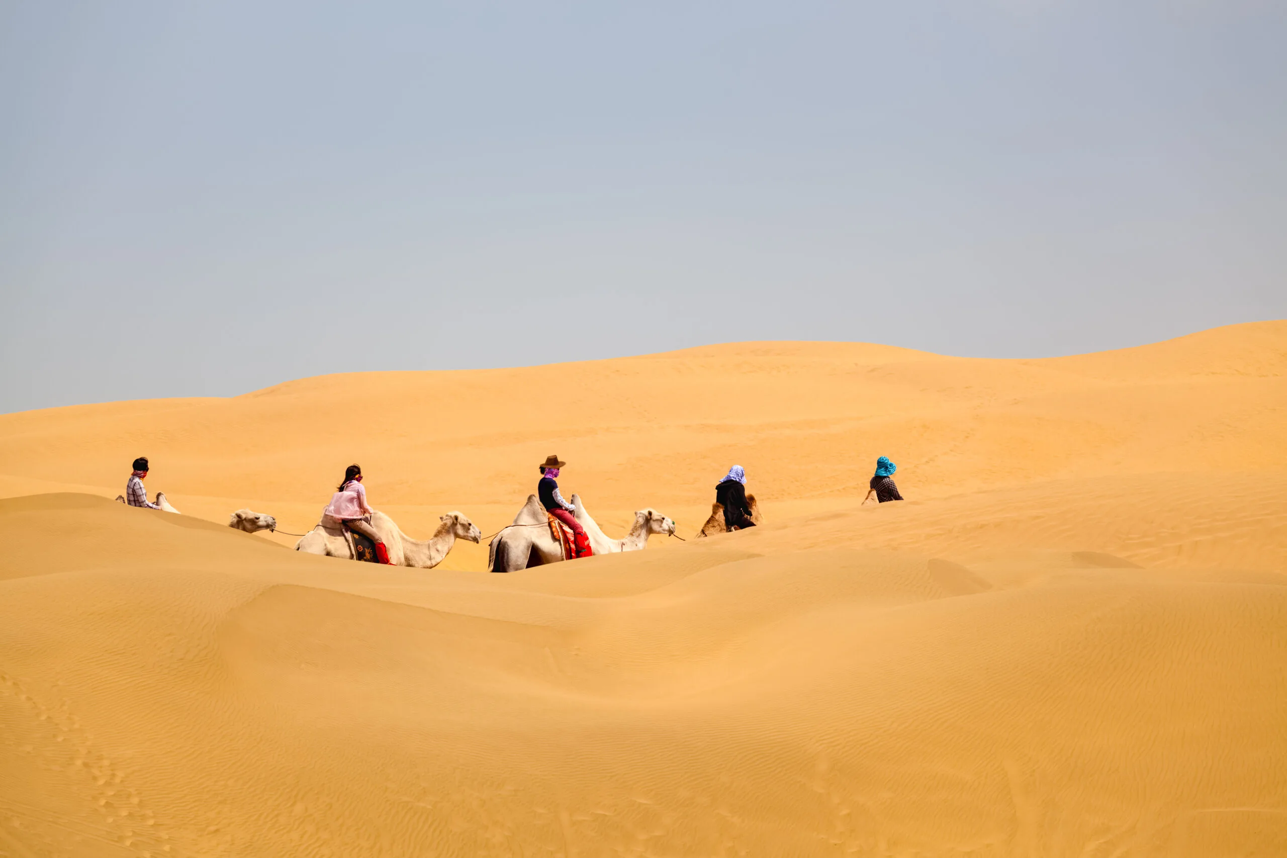 camel caravan going through the desert,in Merzouga