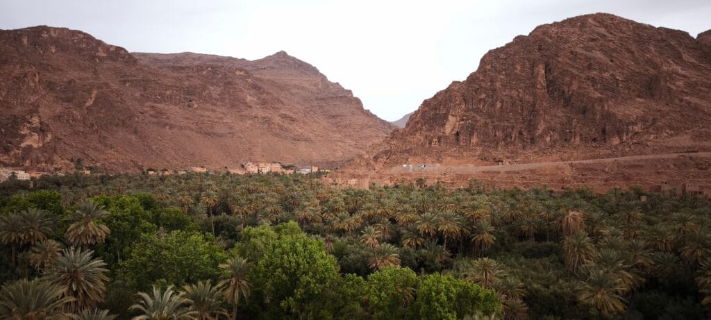A scenic view of the Todra Valley in southern Morocco, featuring lush palm groves stretching along the riverbed beneath the towering golden-red walls of the Todra Gorge canyon, with traditional Berber villages nestled among the vegetation.