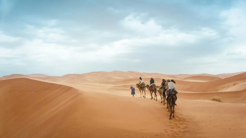 Group of travellers riding camels across the golden Erg Chebbi sand dunes at sunset in Merzouga, Morocco, with vast Sahara desert landscape stretching into the horizon.