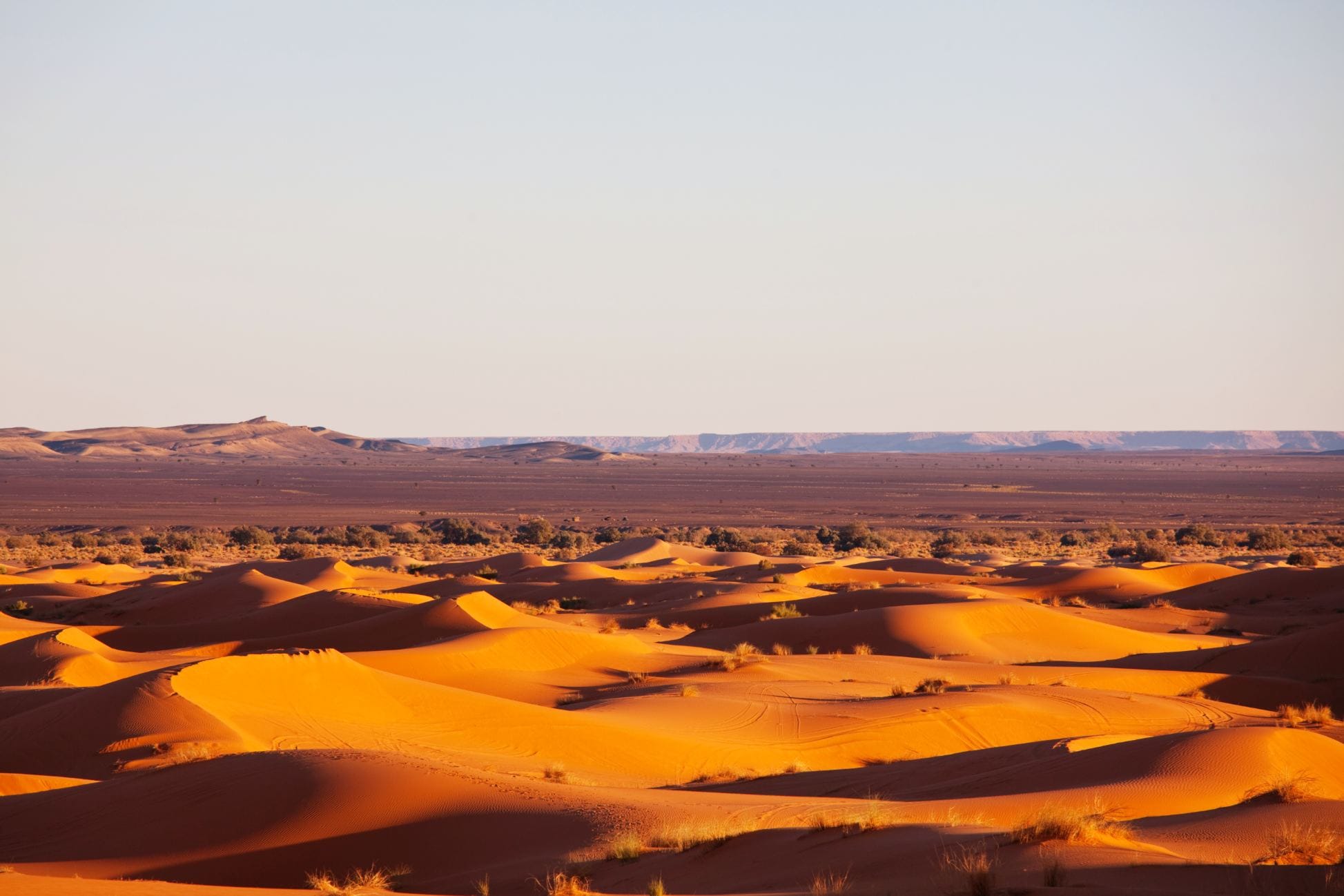 The remote and vast golden sand dunes of Erg Chigaga stretching across the Sahara Desert near Mhamid el Ghizlane in southern Morocco, one of the country's most unspoiled and expansive desert landscapes.