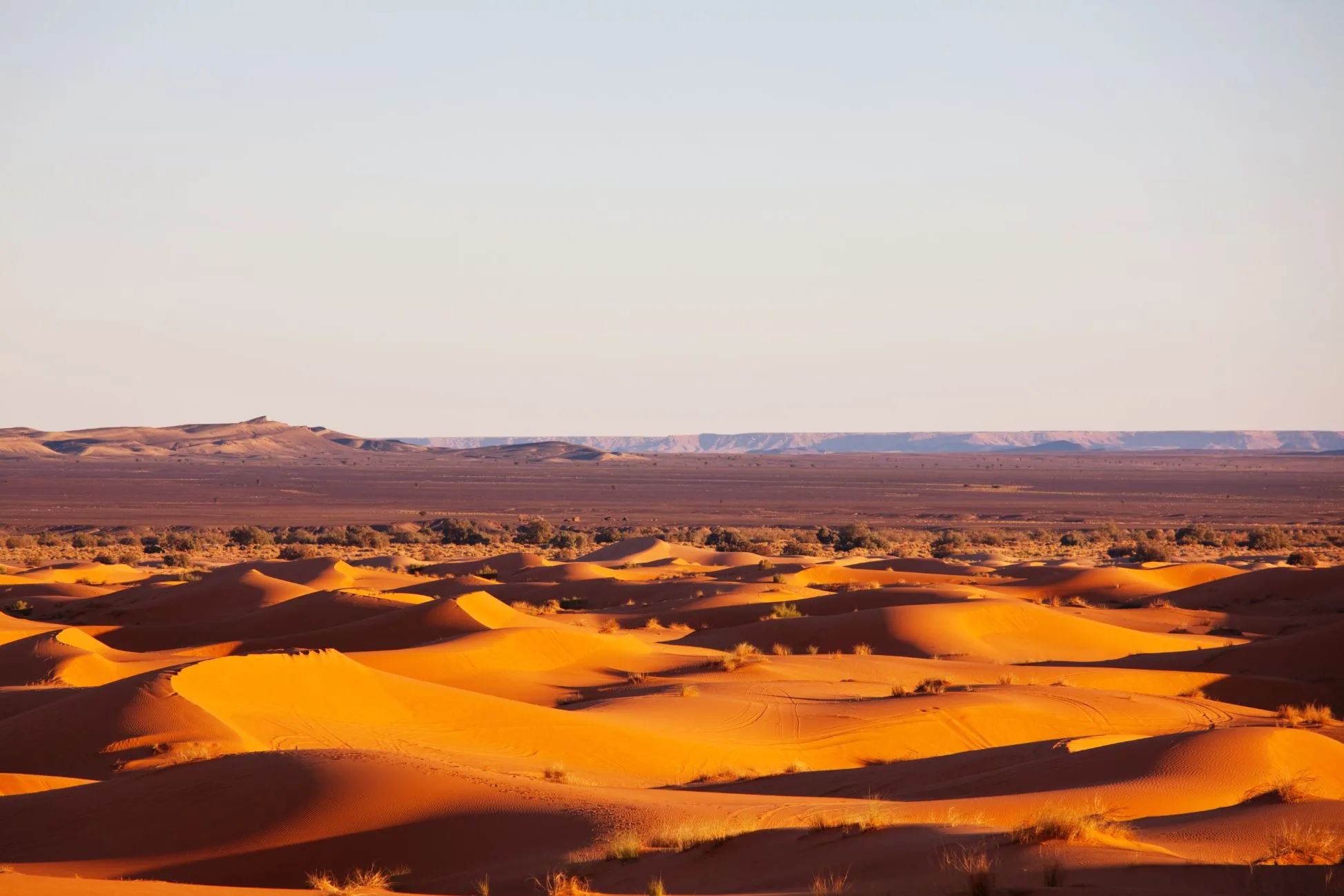 The remote and vast golden sand dunes of Erg Chigaga stretching across the Sahara Desert near Mhamid el Ghizlane in southern Morocco, one of the country's most unspoiled and expansive desert landscapes.