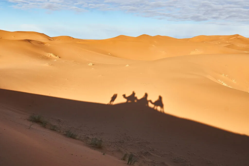 From above shade on sand land of camels and people going in desert in Marrakesh, Morocco