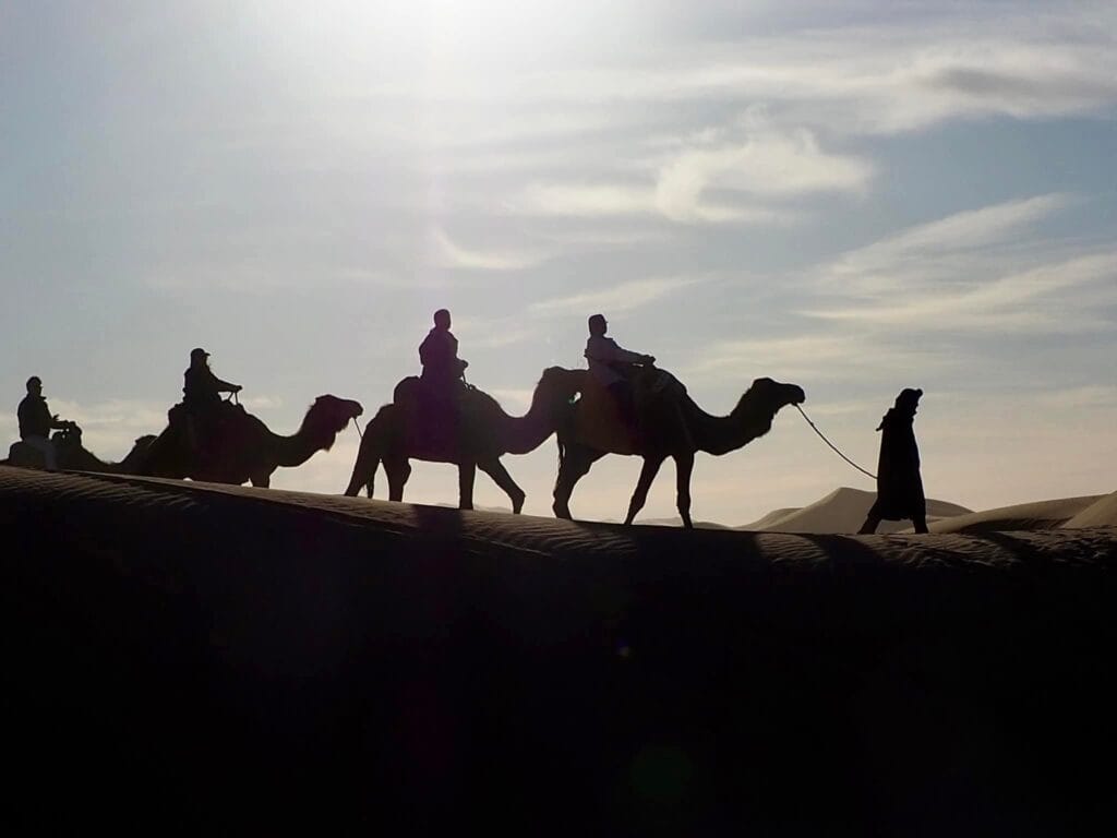 A camel caravan silhouetted against a warm golden and orange sunset sky while trekking across the sweeping sand dunes of the Sahara Desert near Mhamid el Ghizlane, Morocco.