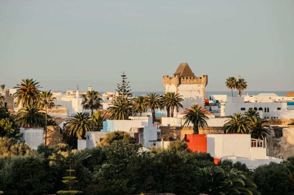 A narrow cobblestone lane winding through the whitewashed medina of Asilah, Morocco, adorned with colorful murals and potted plants, framed by blue-trimmed doorways and sun-drenched walls that reflect the town's blend of Moroccan heritage and contemporary street art culture.