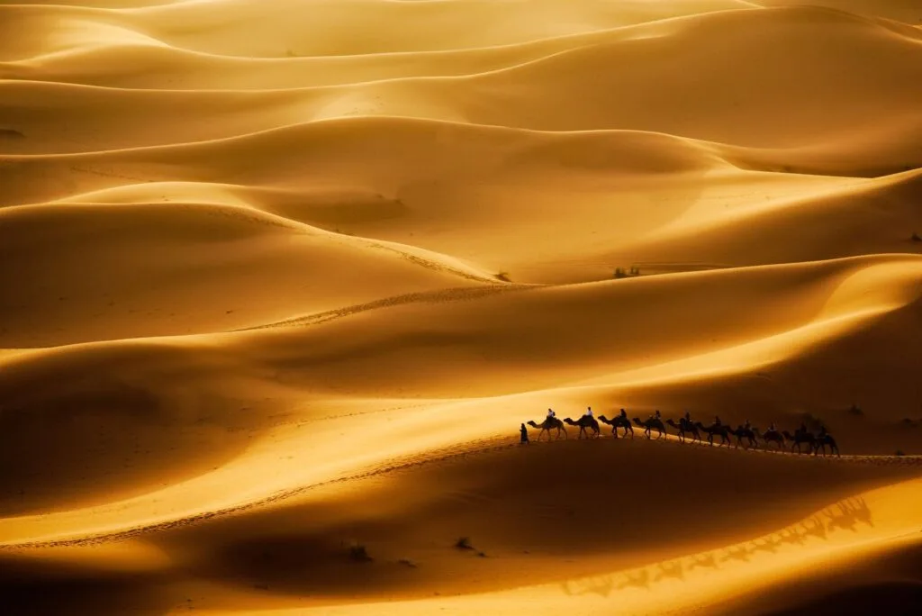 Golden Erg Chebbi sand dunes in Merzouga Sahara, Morocco