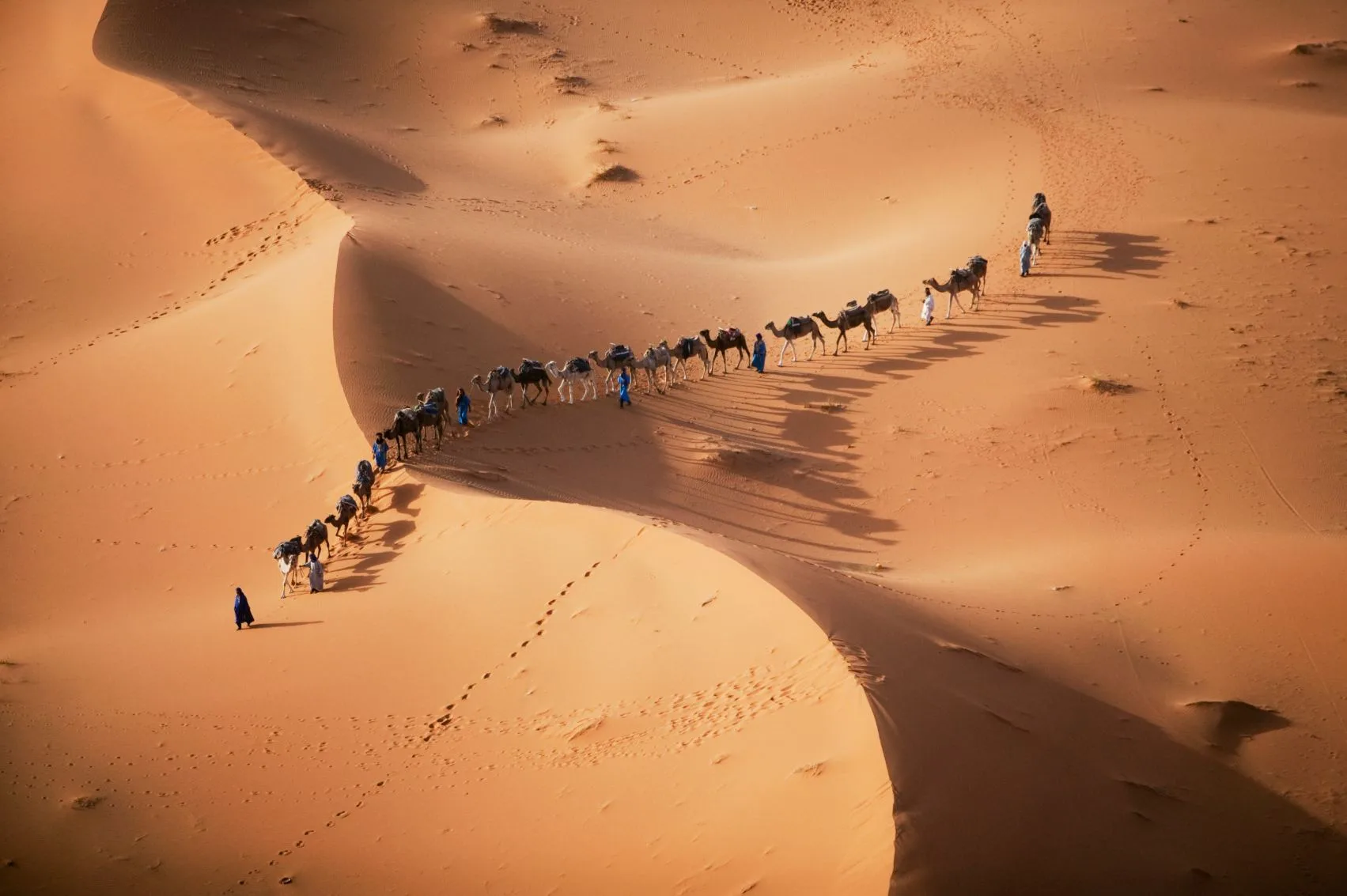 Vast golden sand dunes of Erg Chebbi glowing at sunrise near Merzouga, with a camel caravan silhouetted against the sky on a desert trip from Marrakech